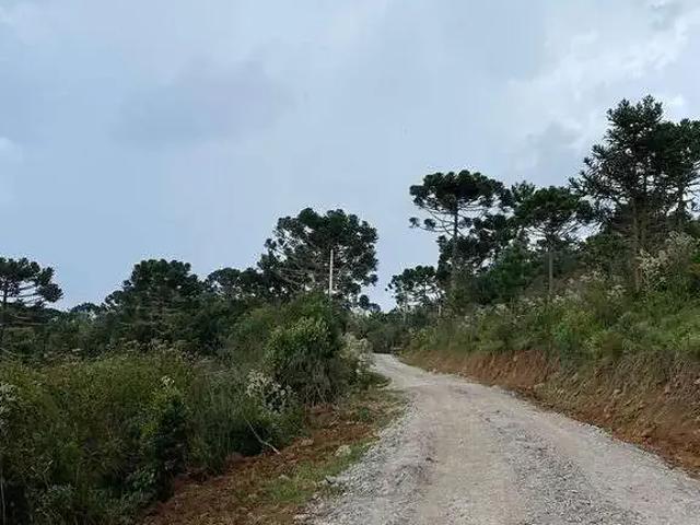 Sítio e chácara venda em Região Geográfica Imediata de Lages, Rio Rufino