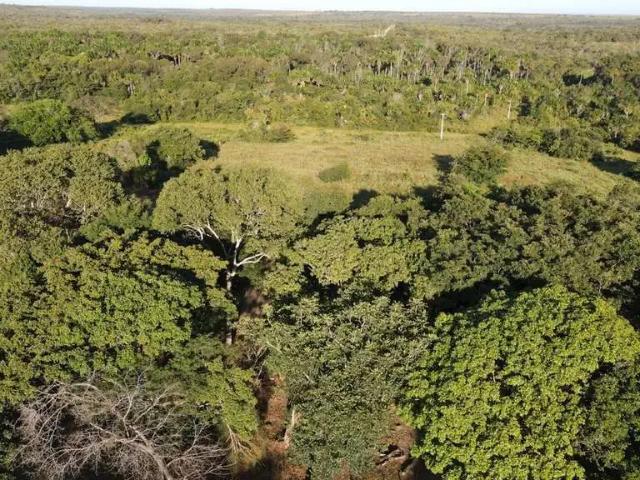 Sítio e chácara venda em Região Geográfica Imediata de Palmas, Rio Sono