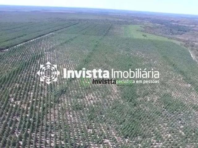 Sítio e chácara venda em Região Geográfica Imediata de Palmas, Rio Sono