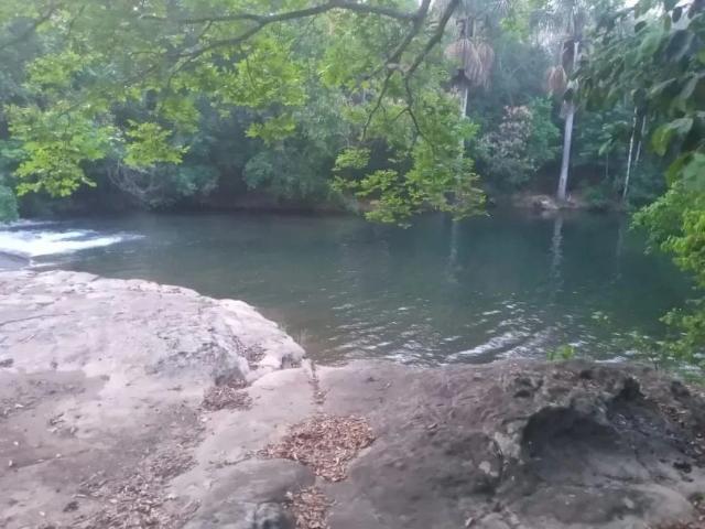 Sítio e chácara venda em Rio Verde de Mato Grosso