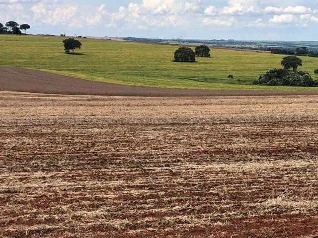 Sítio e chácara venda em Região Geográfica Imediata de Rio Verde, Rio Verde