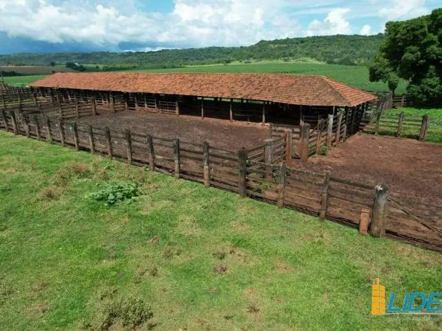 Sítio e chácara venda em Região Geográfica Imediata de Rio Verde, Rio Verde