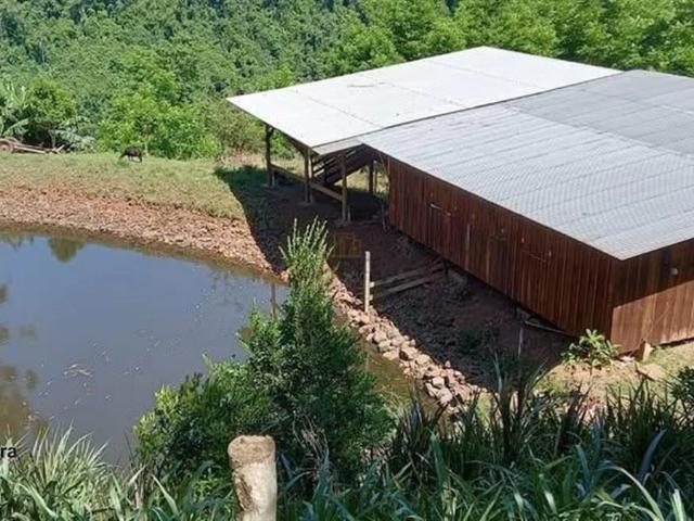 Sítio e chácara venda em Roca Sales, Região Geográfica Intermediária de Santa Cruz do Sul - Lajeado