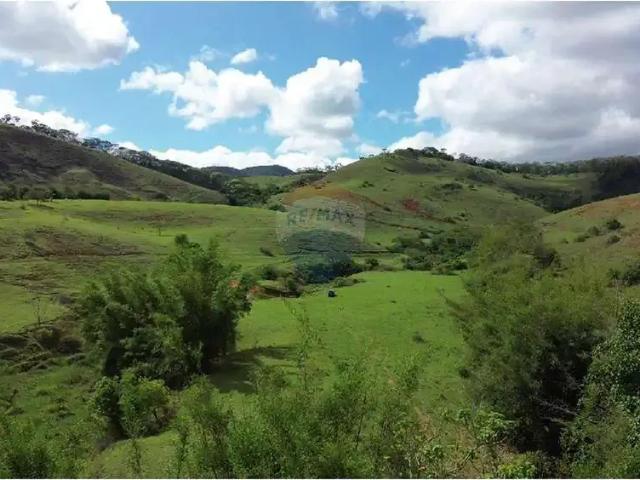 Sítio e chácara venda em Região Geográfica Imediata de São João Nepomuceno - Bicas, Rochedo de Minas