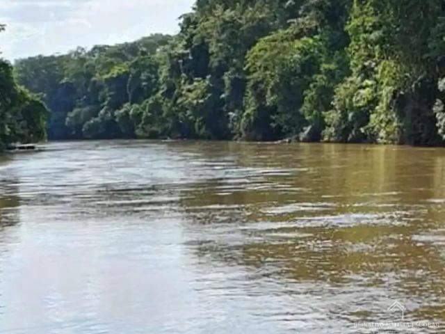 Sítio e chácara venda em Região Geográfica Imediata de Campo Grande, Rochedo