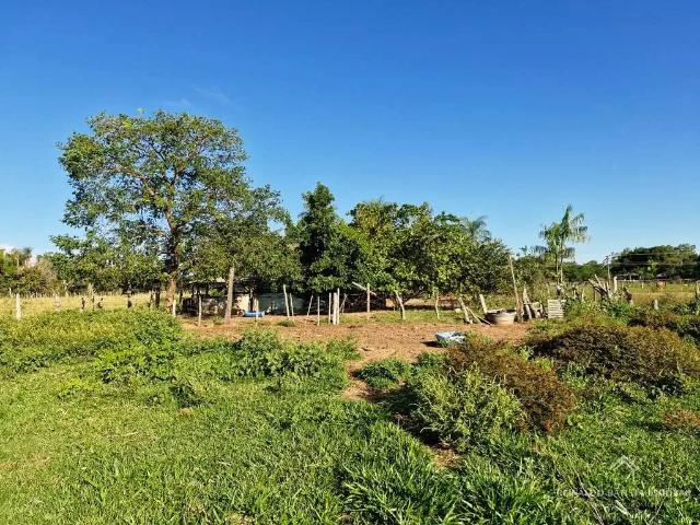 Sítio e chácara venda em Região Geográfica Imediata de Campo Grande, Rochedo