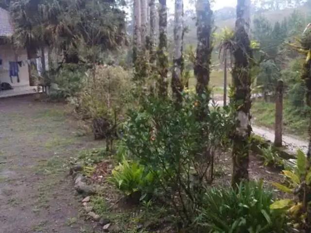 Sítio e chácara venda em Região Geográfica Imediata de Blumenau, Rodeio