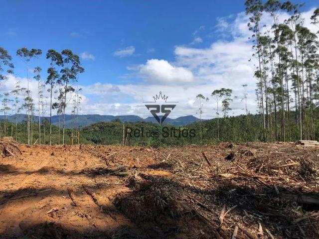 Sítio e chácara venda em Região Geográfica Imediata de Blumenau, Rodeio