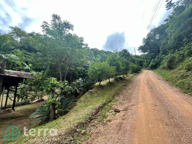 Sítio e chácara venda em Região Geográfica Imediata de Blumenau, Rodeio