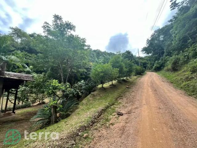 Sítio e chácara venda em Região Geográfica Imediata de Blumenau, Rodeio
