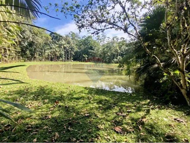 Sítio e chácara venda em Região Geográfica Imediata de Blumenau, Rodeio