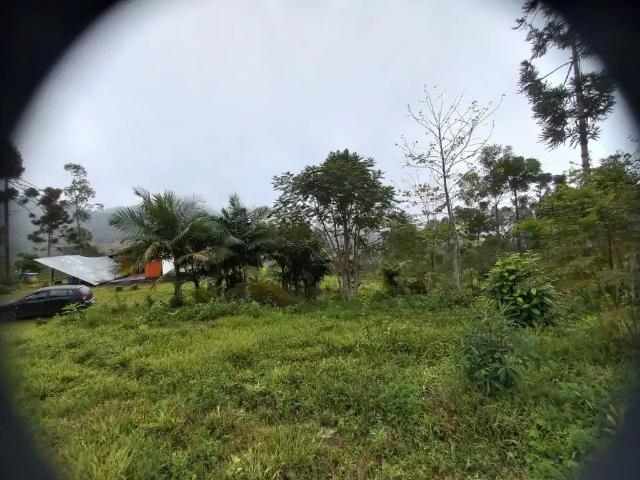 Sítio e chácara venda em Região Geográfica Imediata de Blumenau, Rodeio