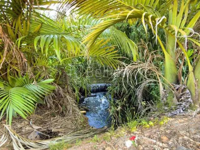 Sítio e chácara venda em Região Geográfica Imediata de Blumenau, Rodeio