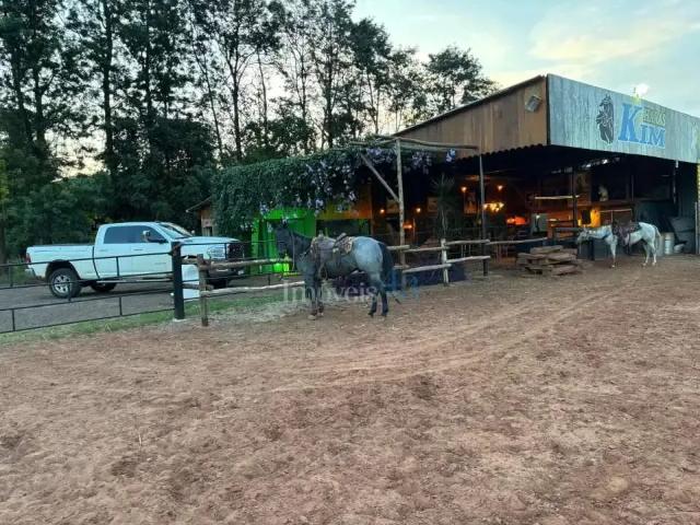 Sítio e chácara venda em Região Geográfica Imediata de Londrina, Rolândia