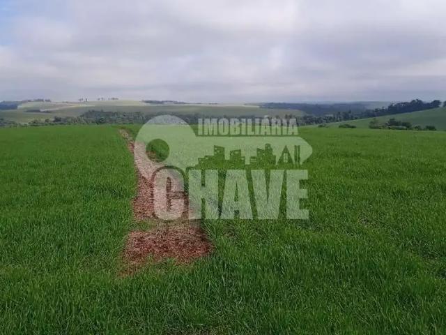 Sítio e chácara venda em Região Geográfica Imediata de Londrina, Rolândia