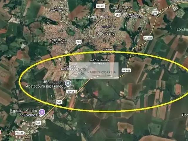Sítio e chácara venda em Centro Histórico, Rolândia
