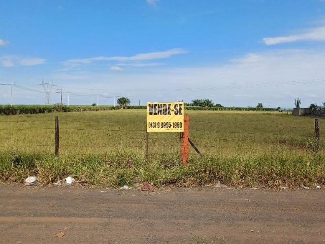 Sítio e chácara venda em Região Geográfica Imediata de Londrina, Rolândia