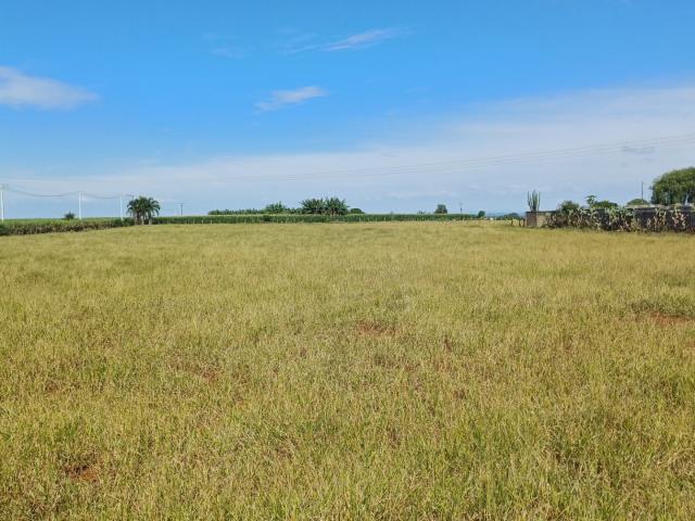 Sítio e chácara venda em Ceboleiro, Rolândia