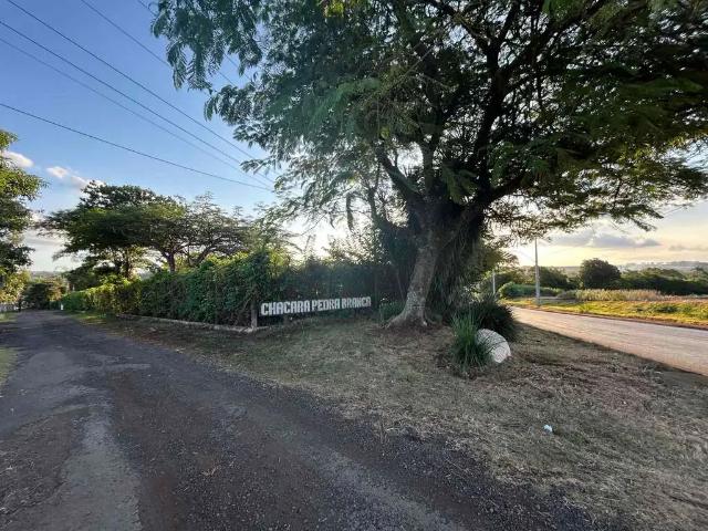 Sítio e chácara venda em Região Geográfica Imediata de Londrina, Rolândia