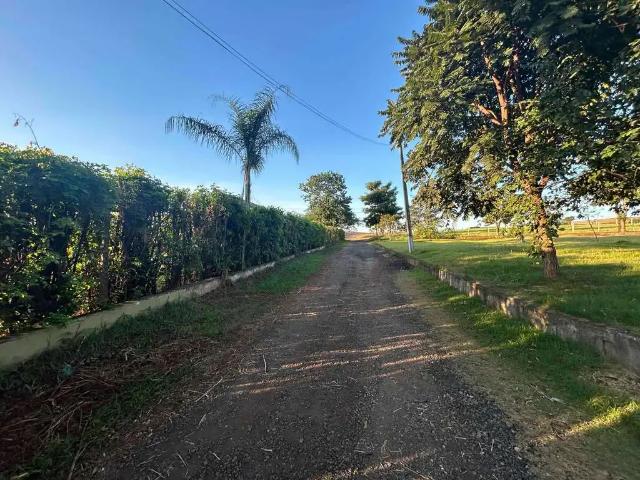 Sítio e chácara venda em Região Geográfica Imediata de Londrina, Rolândia