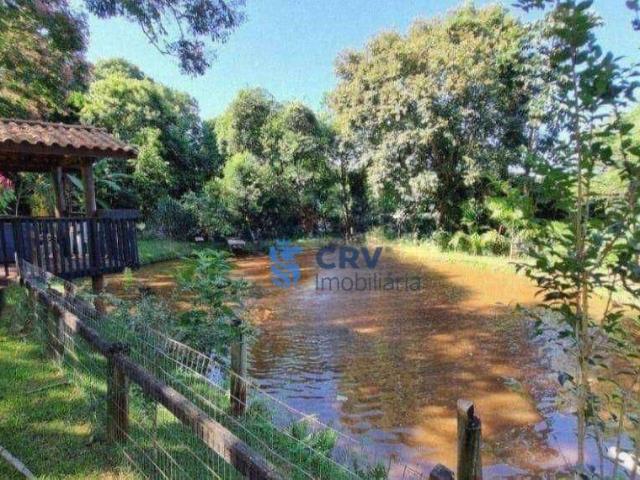 Sítio e chácara venda em Região Geográfica Imediata de Londrina, Rolândia