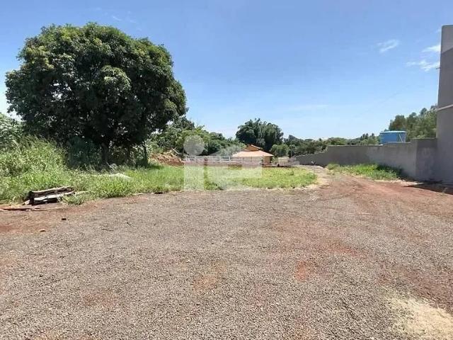 Sítio e chácara venda em Rolândia, Região Geográfica Intermediária de Londrina