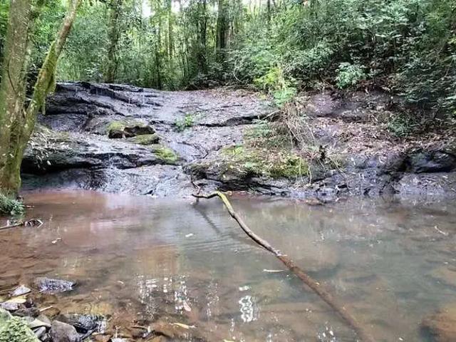 Sítio e chácara venda em Região Geográfica Imediata de Caxias do Sul, Região Metropolitana de Porto Alegre