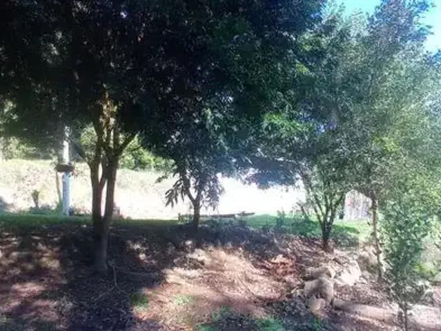 Sítio e chácara venda em Região Geográfica Imediata de Taquara - Parobé - Igrejinha, Região Metropolitana de Porto Alegre