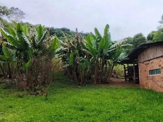 Sítio e chácara venda em Região Geográfica Imediata de Taquara - Parobé - Igrejinha, Região Metropolitana de Porto Alegre