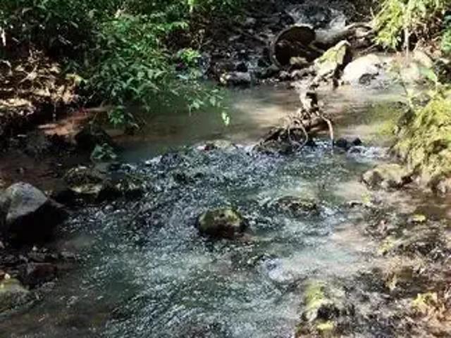 Sítio e chácara venda em Região Geográfica Imediata de Taquara - Parobé - Igrejinha, Região Metropolitana de Porto Alegre