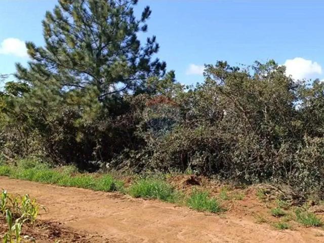 Sítio e chácara venda em Região Geográfica Imediata de Monte Carmelo, Romaria