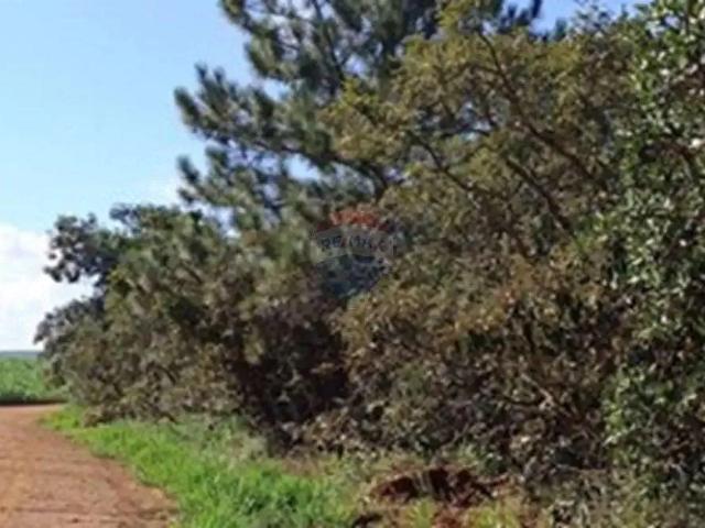 Sítio e chácara venda em Região Geográfica Imediata de Monte Carmelo, Romaria