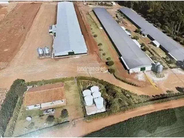 Sítio e chácara venda em Região Geográfica Imediata de Campo Mourão, Roncador