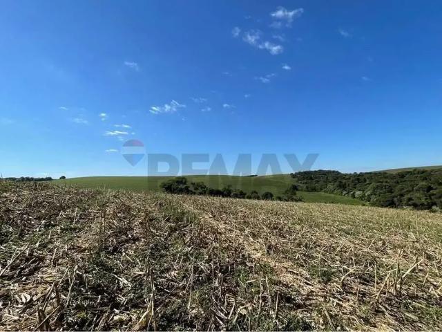 Sítio e chácara venda em Região Geográfica Imediata de Passo Fundo, Ronda Alta