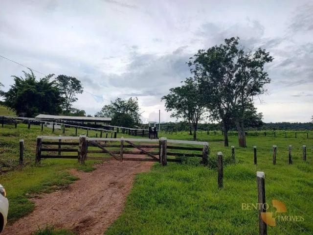 Sítio e chácara venda em Região Geográfica Imediata de Rondonópolis, Rondonópolis