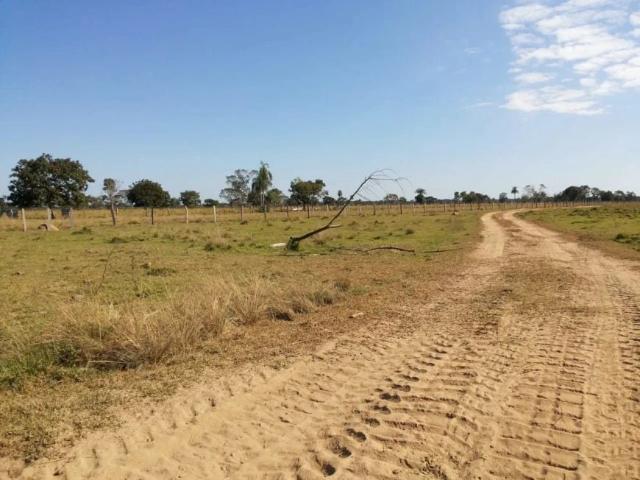 Sítio e chácara venda em Centro - A, Rondonópolis