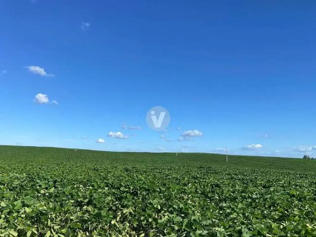 Sítio e chácara venda em Região Geográfica Imediata de Santana do Livramento, Rosário do Sul