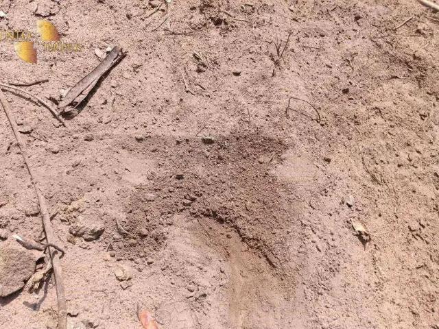 Sítio e chácara venda em Região Geográfica Imediata de Cuiabá, Rosário Oeste