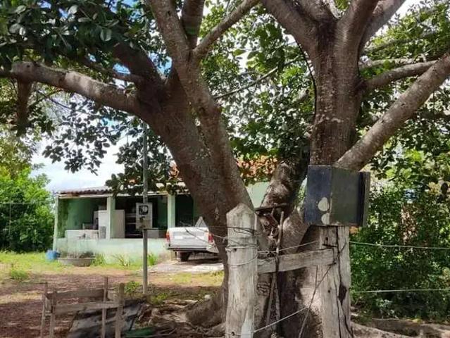Sítio e chácara venda em Região Geográfica Imediata de Cuiabá, Rosário Oeste