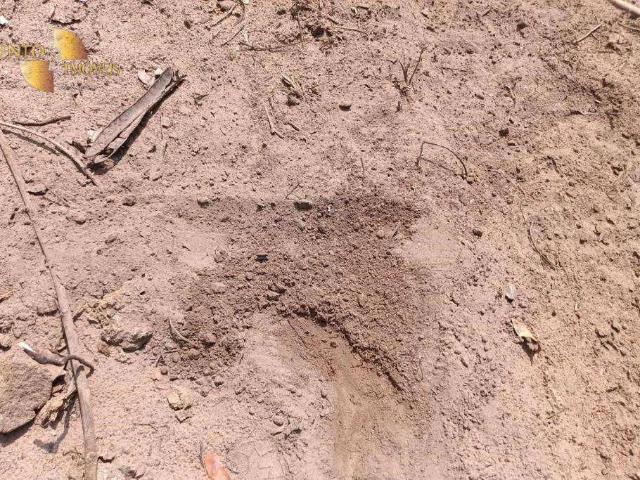 Sítio e chácara venda em Nossa Senhora de Aparecida, Rosário Oeste