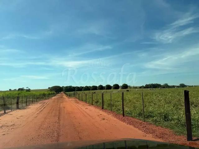 Sítio e chácara venda em Região Imediata de Santa Fé do Sul, Rubineia