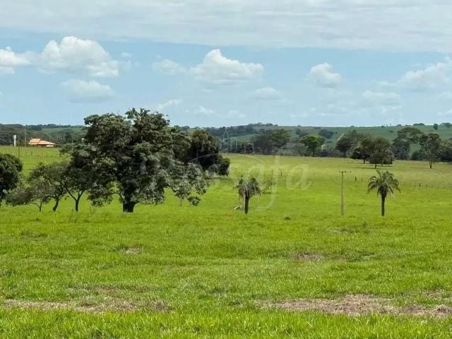 Sítio e chácara venda em Região Imediata de Santa Fé do Sul, Rubineia