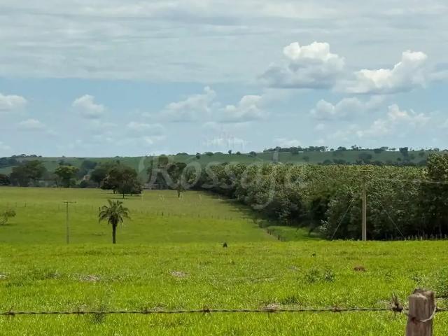 Sítio e chácara venda em Região Imediata de Santa Fé do Sul, Rubineia
