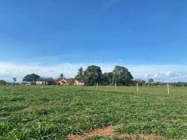 Sítio e chácara venda em Região Imediata de Santa Fé do Sul, Rubineia