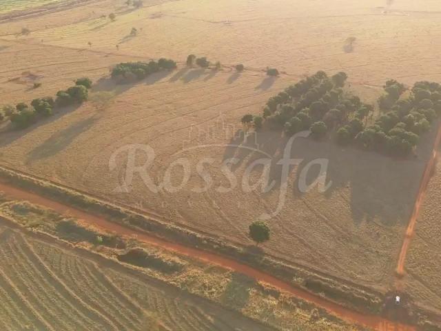Sítio e chácara venda em Região Imediata de Santa Fé do Sul, Rubineia