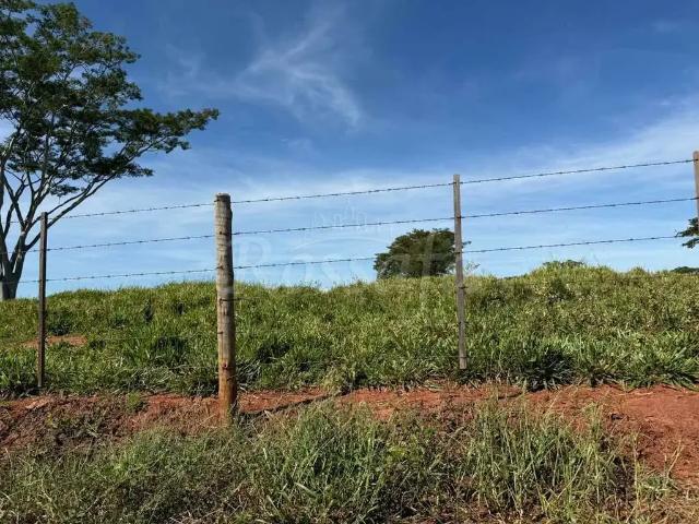 Sítio e chácara venda em Região Imediata de Santa Fé do Sul, Rubineia