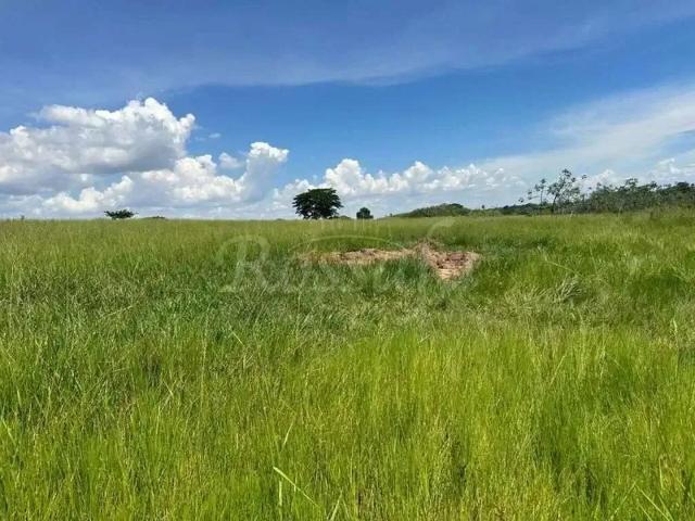 Sítio e chácara venda em Região Imediata de Santa Fé do Sul, Rubineia