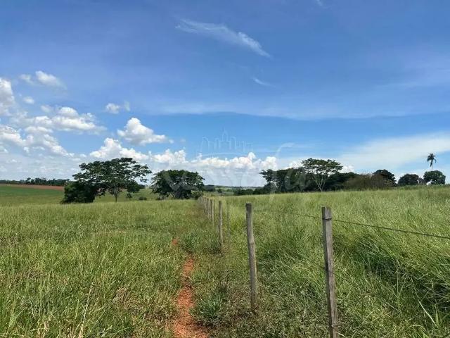 Sítio e chácara venda em Região Imediata de Santa Fé do Sul, Rubineia