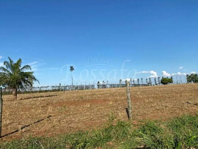 Sítio e chácara venda em Região Imediata de Santa Fé do Sul, Rubineia