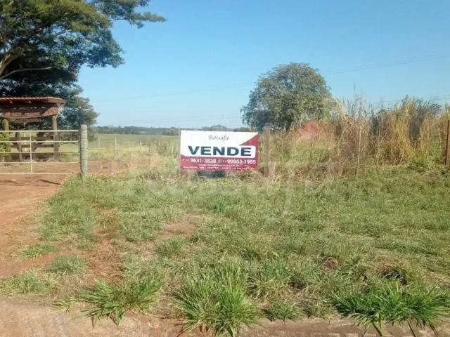 Sítio e chácara venda em Região Imediata de Santa Fé do Sul, Rubineia
